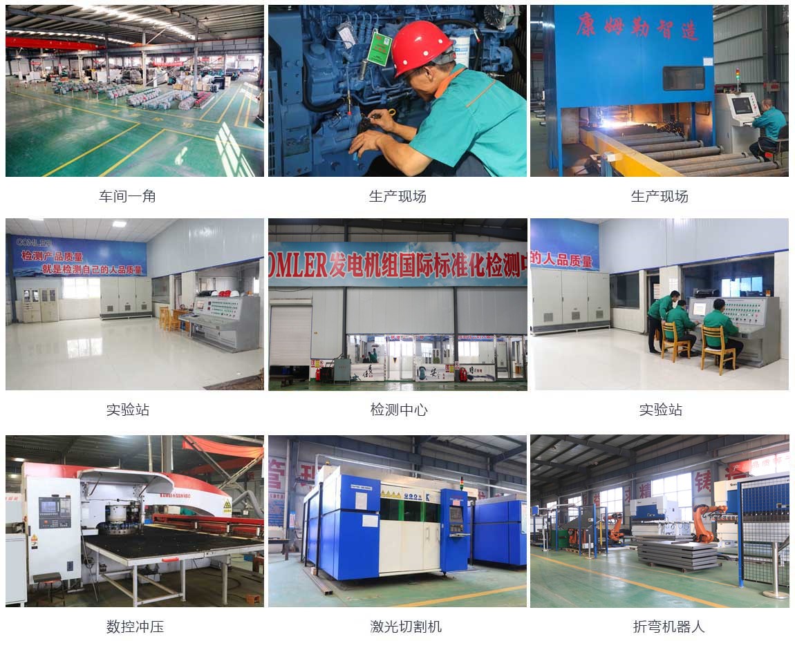 国产精品嫩草影院免费電力集團公司簡介