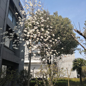廠區環境（jìng）