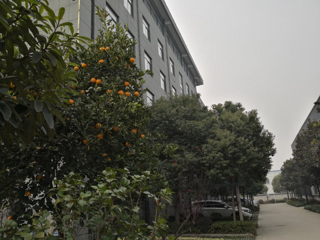 廠區環境